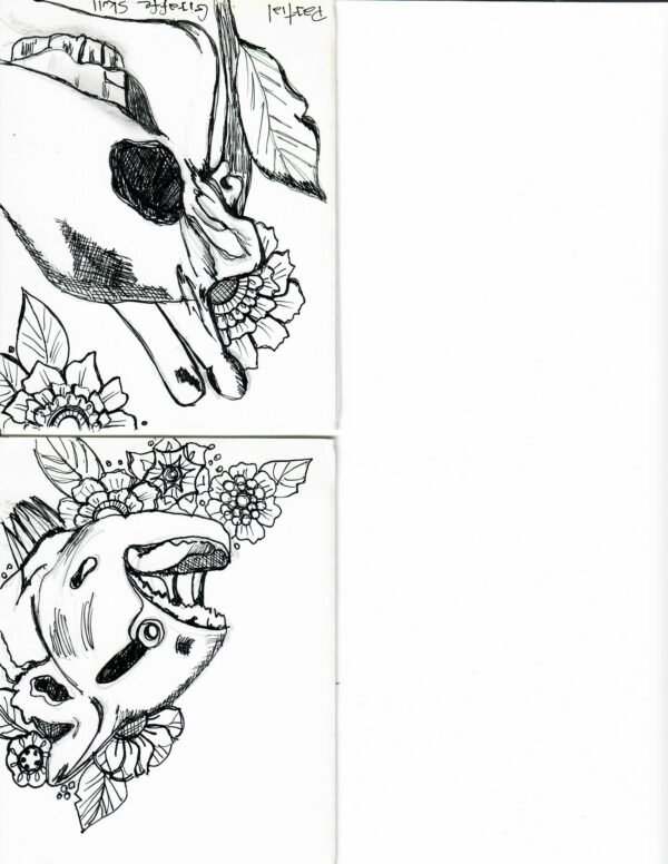 Ink drawing skull and lizard Card